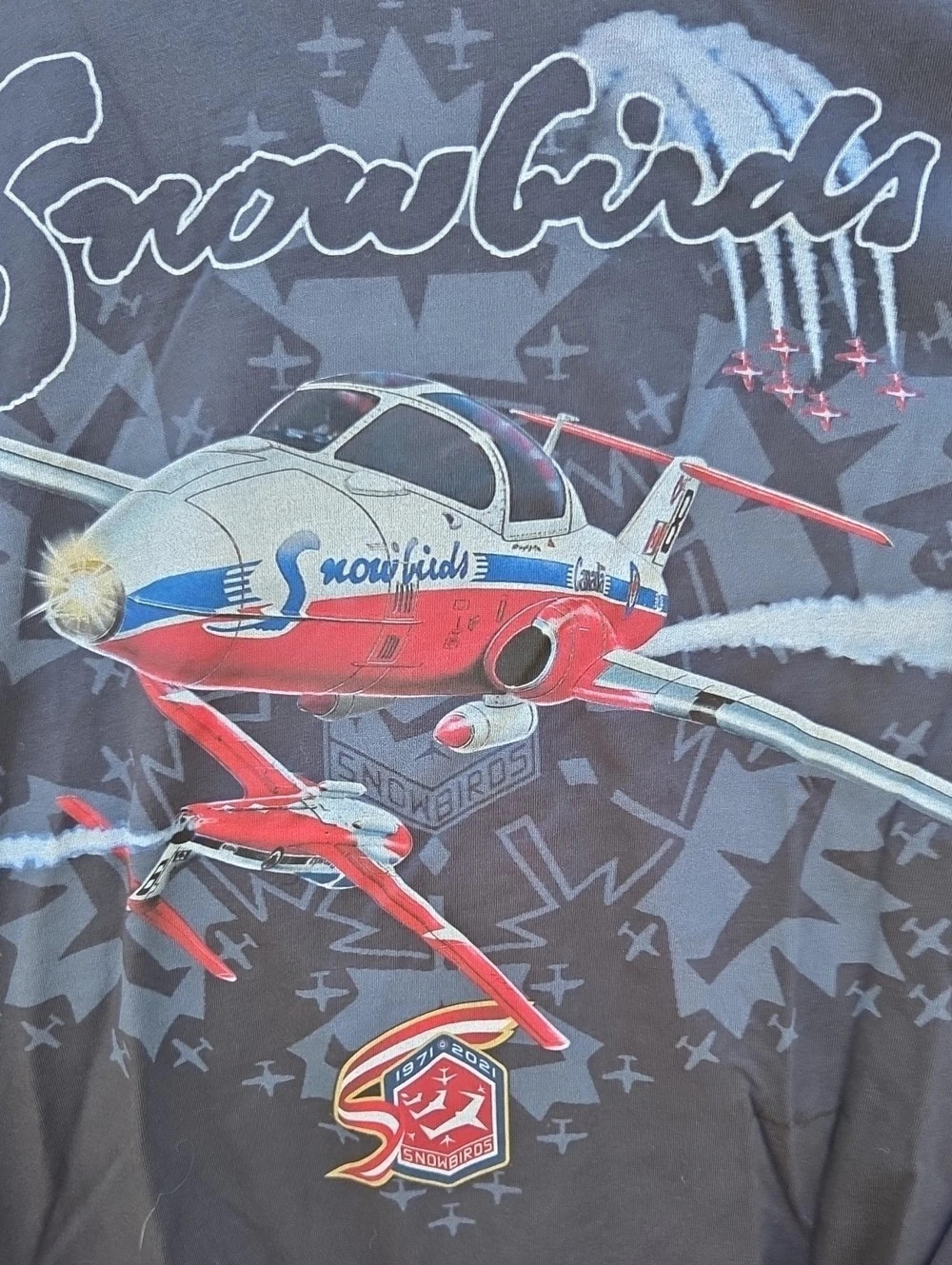 Snowbirds Graphic Airplane T-Shirt in Gray & Red